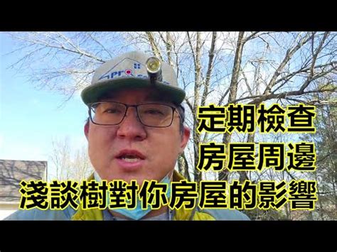 房子旁邊有樹|【房子旁邊有樹】房子旁有樹利弊多，風水吉凶快來瞧！